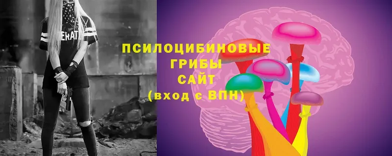 Галлюциногенные грибы Psilocybine cubensis  наркота  Соликамск 